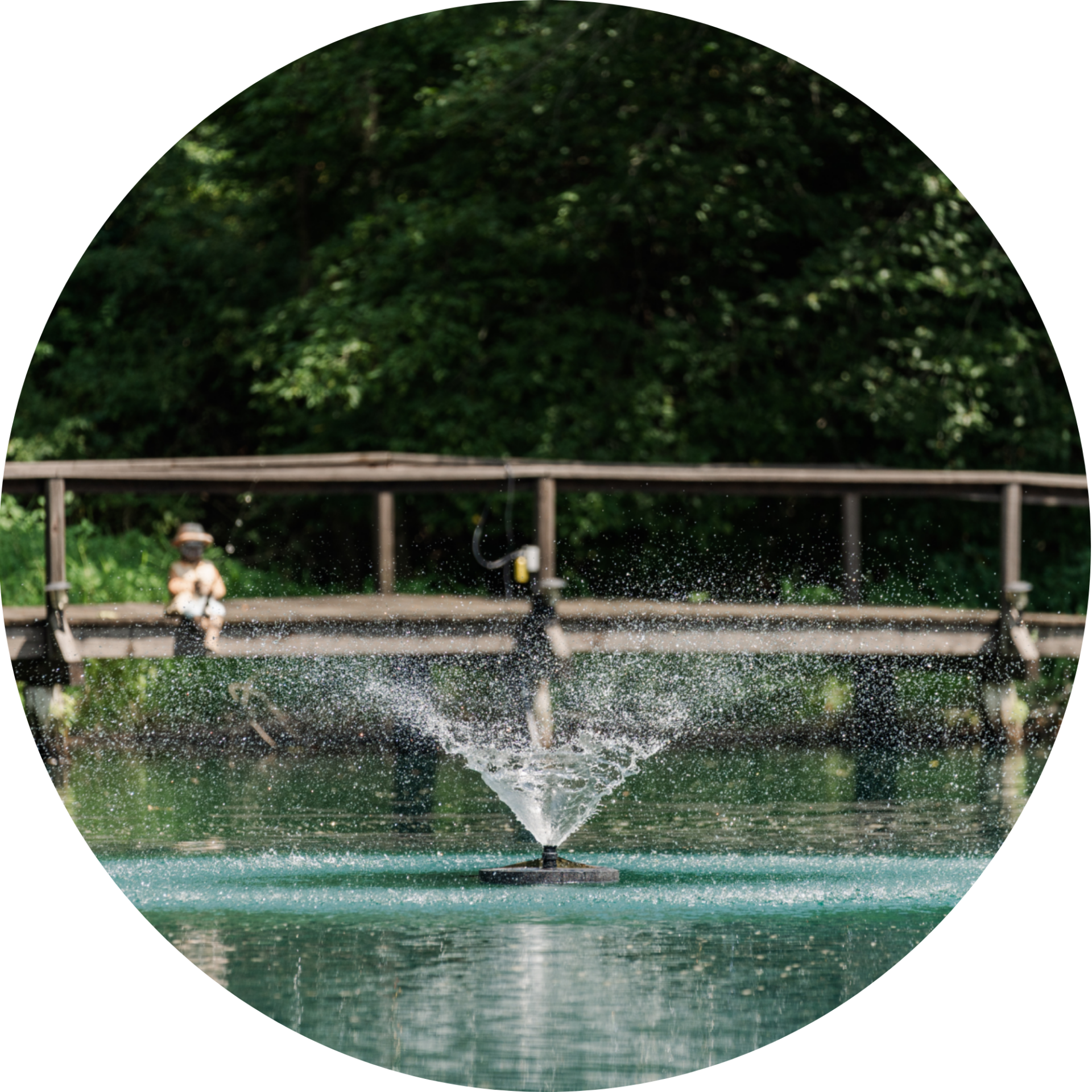RHP Mini 2618 Adjustable V fountain nozzle spray pattern
