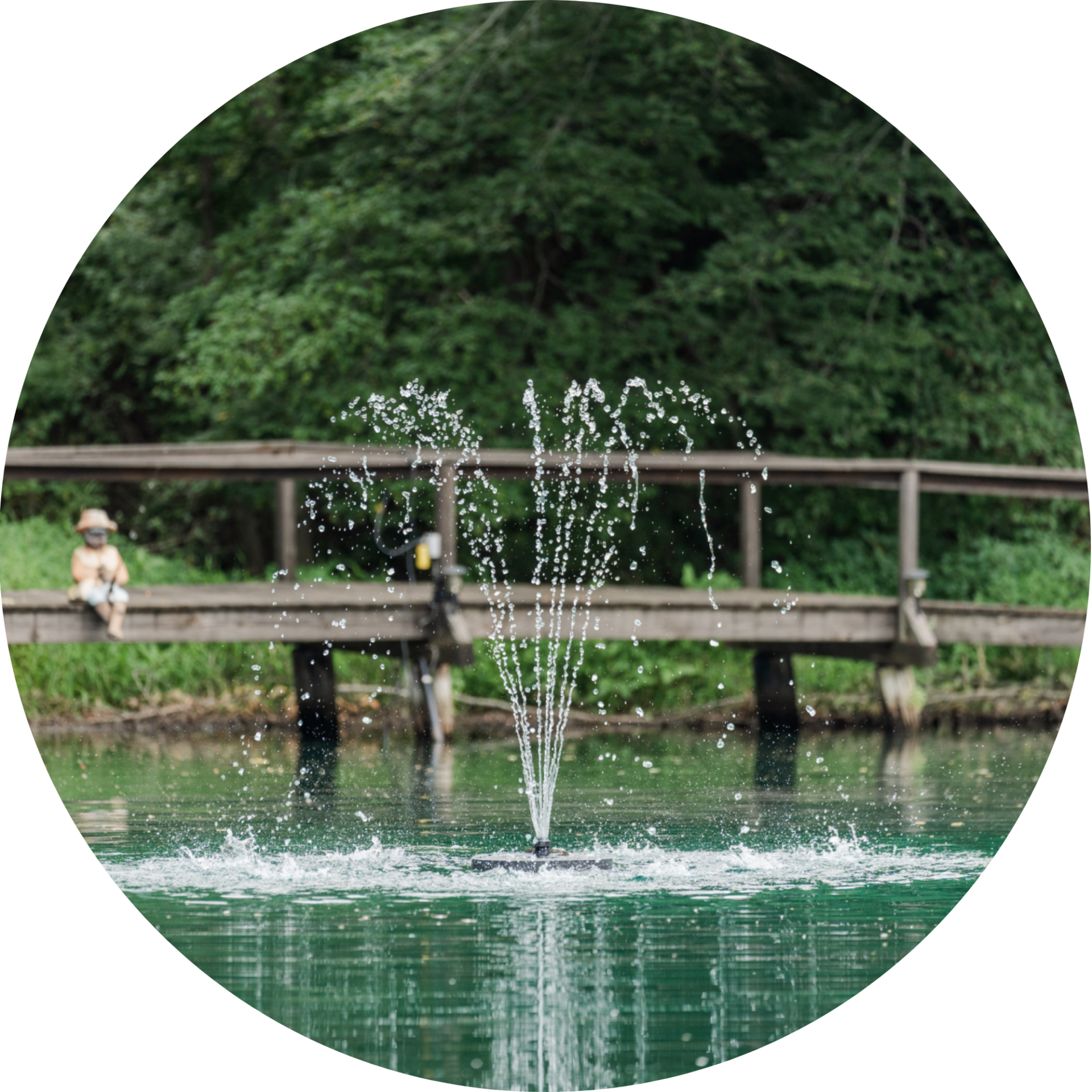 RHP Mini 2618 Arch fountain nozzle spray pattern