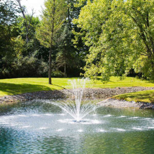 Airmax EcoSeries fountain displaying the Crown and Trumpet pattern with a tall center spray and lower outward arches.